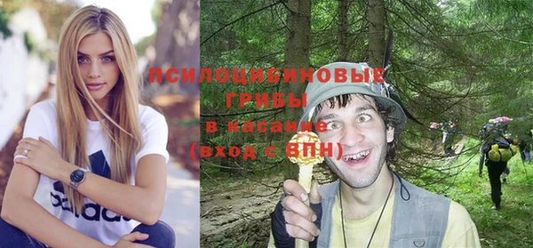 амф Алексеевка