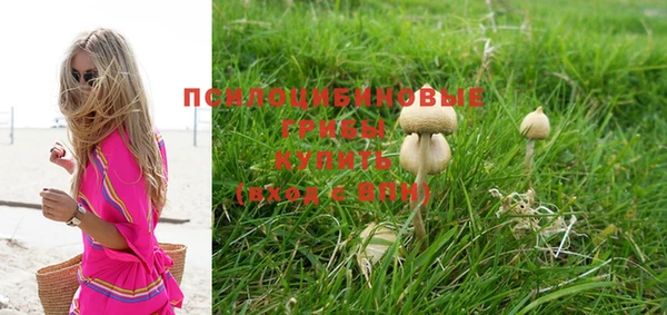 MESCALINE Алзамай