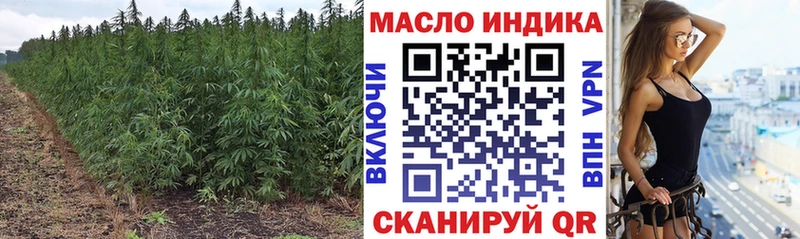 мориарти клад  закладки  Тосно  ТГК гашишное масло 